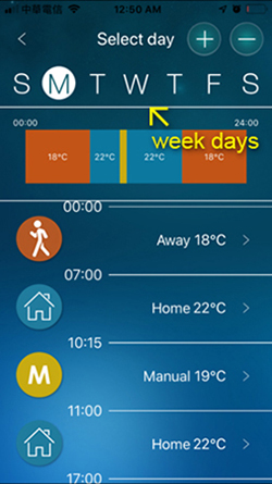 week day